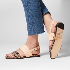 Ariat Luxury Two24 Rue Sandals, Hard to Find! Includes Ariat Dust Bag!